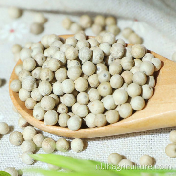 Productiebasis van hoge kwaliteit witte peper plantenbasis